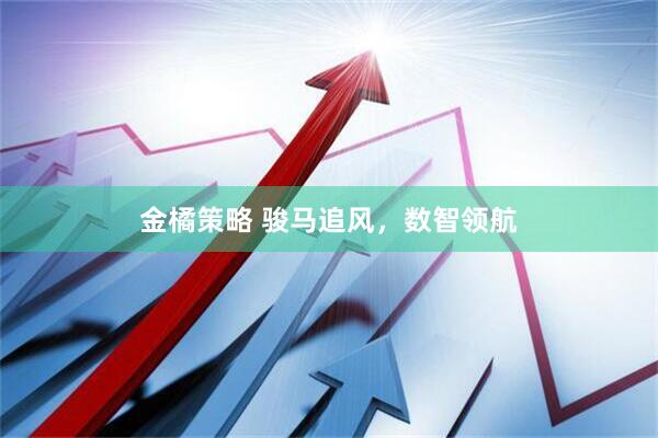 金橘策略 骏马追风，数智领航
