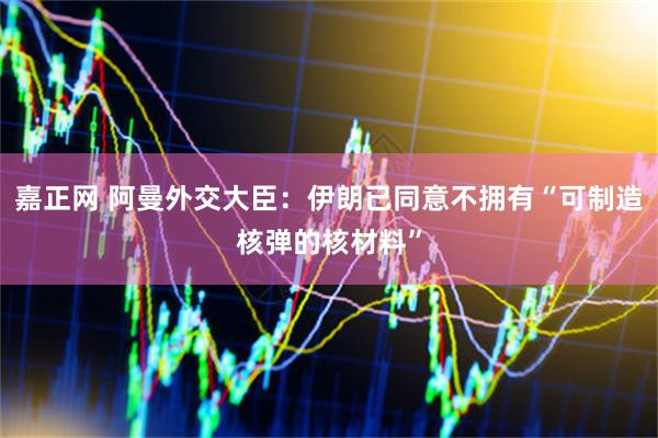 嘉正网 阿曼外交大臣：伊朗已同意不拥有“可制造核弹的核材料”